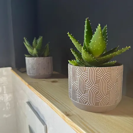 民宿 Schoenes Im Zentrum