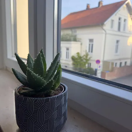 Schoenes Im Zentrum *