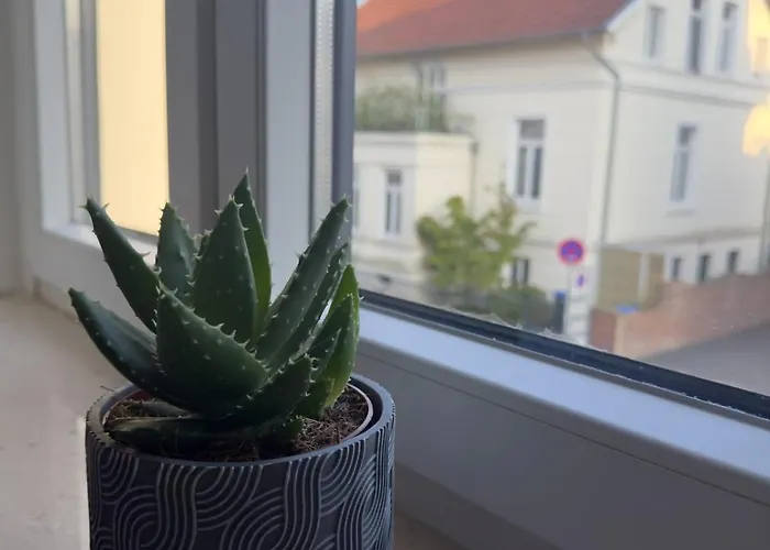 Schoenes Im Zentrum *